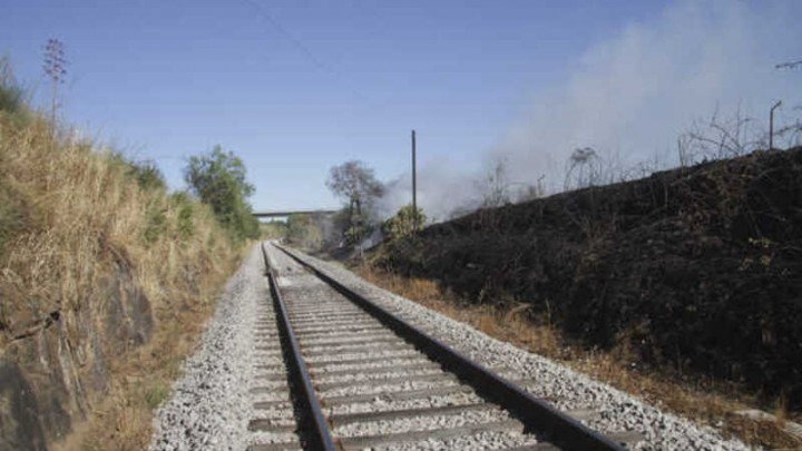 Tribunal de Contas. 10% das pontes e 62% das linhas de comboio precisam de investimento urgente